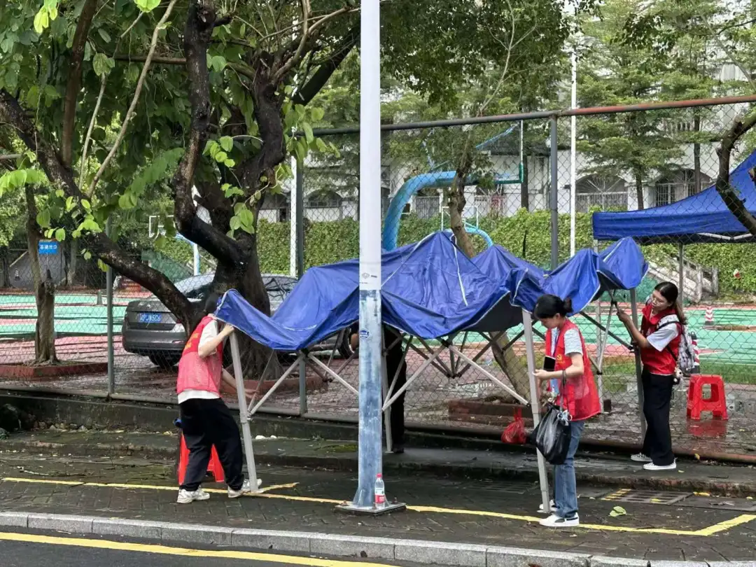 图片 图片