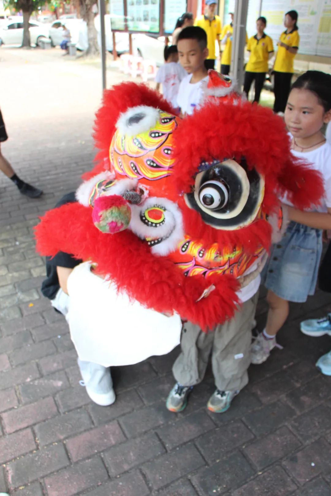 图片 图片