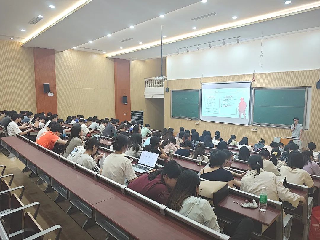 图片 13 图片 13