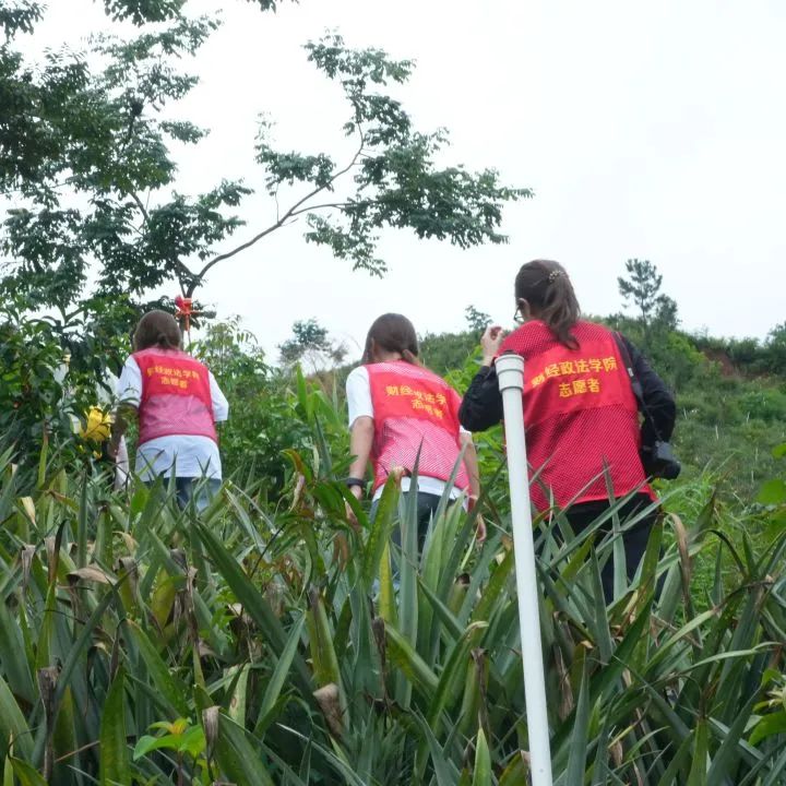 IMG_274 IMG_274