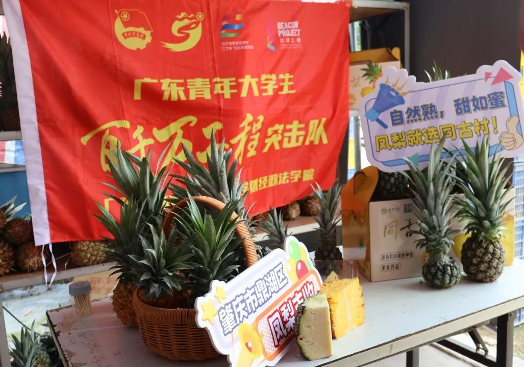 IMG_293 IMG_293